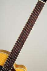 Rozeo Ladybug-CB CM HB/SS Vintage Amber_5