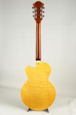 Rozeo Ladybug-CB CM HB/SS Vintage Amber_9