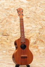 KoAloha KCM-00 Concert 2008_3