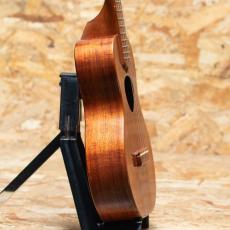 KoAloha KCM-00 Concert 2008_4