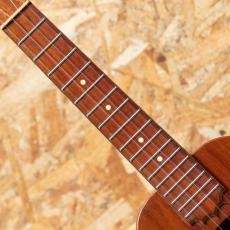 KoAloha KCM-00 Concert 2008_6