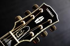 YAMAHA L-52　四天王　テリー中本デザイン　 1978　L52