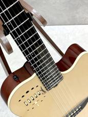 Godin 【即納可能】Multiac Nylon Deluxe #25314415【22Fエレガット】【現物写真】【池袋店在庫品】_6