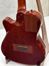 Godin 【即納可能】Multiac Nylon Deluxe #25314415【22Fエレガット】【現物写真】【池袋店在庫品】_11