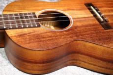 Martin  【USED】T1K Uke 【テナー】【ハワイアンコア単板】【定番モデル】【池袋在庫品】_6