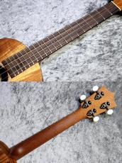 Martin  【USED】T1K Uke 【テナー】【ハワイアンコア単板】【定番モデル】【池袋在庫品】_10