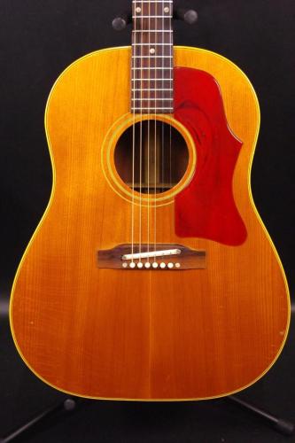 Gibson J-50