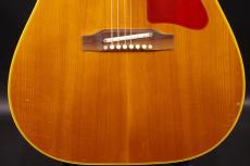 Gibson J-50_9