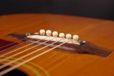 Gibson J-50_6