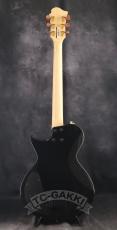 FERNANDES LSA-65EX_6