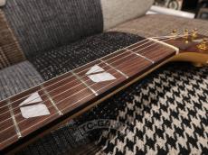 FERNANDES LSA-65EX_16