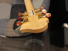 FERNANDES LSA-65EX_17