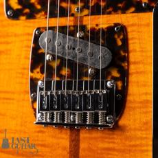 H.S.Anderson Mad cat HS-1_3