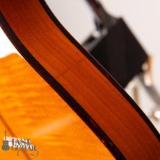 H.S.Anderson Mad cat HS-1_10