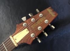 Aria Pro II PE-R60 Antique Brown_6