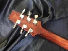Aria Pro II PE-R60 Antique Brown_9