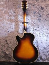 Epiphone Zephyr Deluxe Regent '51 w/O.H.S.C._2