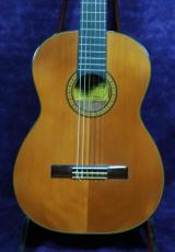 ＰＥＰＥ P-59/585mm　杉/ローズウッド_2