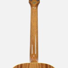 Gibson Dealer Select 60s J-45 Original ADJ -Antique Natural #22904059_9