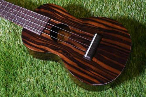tkitki ukulele ECO-S+ StripedEbony Soprano【S/N 1708】