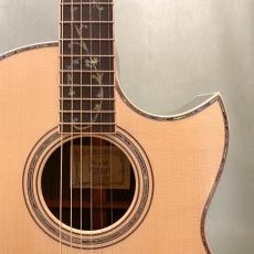 ASTURIAS Tree of Life_2