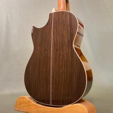 ASTURIAS Tree of Life_5