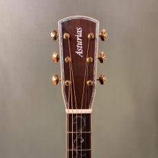 ASTURIAS Tree of Life_6