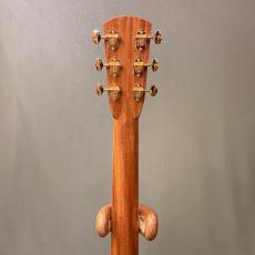 ASTURIAS Tree of Life_8