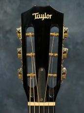 Taylor 612ce 12-Fret First Edition_3