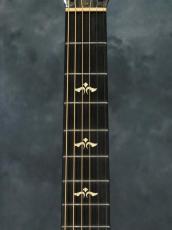 Taylor 612ce 12-Fret First Edition_4