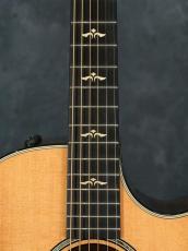 Taylor 612ce 12-Fret First Edition_5
