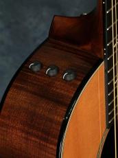 Taylor 612ce 12-Fret First Edition_15