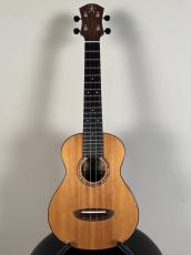 aNueNue Sitka Rosewood Ⅱ【USED】【オール単板】_2