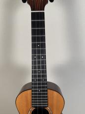 aNueNue Sitka Rosewood Ⅱ【USED】【オール単板】_4