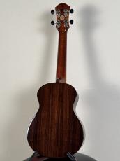 aNueNue Sitka Rosewood Ⅱ【USED】【オール単板】_6