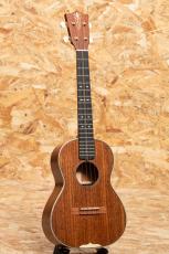 Martin CTM Style-3T_3