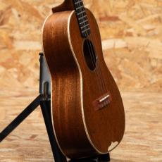 Martin CTM Style-3T_4