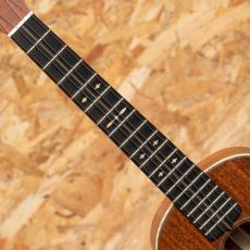 Martin CTM Style-3T_6