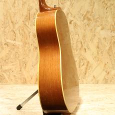 Gibson J-50 1956_5