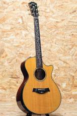 Taylor PS12ce Cocobolo 2012_3