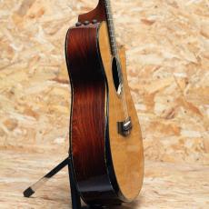Taylor PS12ce Cocobolo 2012_4
