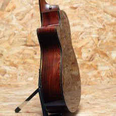 Taylor PS12ce Cocobolo 2012_5