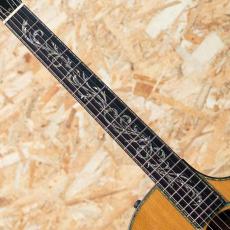 Taylor PS12ce Cocobolo 2012_6