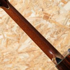 Taylor PS12ce Cocobolo 2012_7