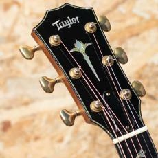 Taylor PS12ce Cocobolo 2012_8