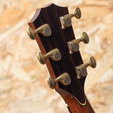 Taylor PS12ce Cocobolo 2012_9