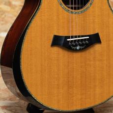 Taylor PS12ce Cocobolo 2012_10