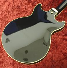 Ibanez AM73G-BK Black_2
