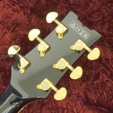 Ibanez AM73G-BK Black_8