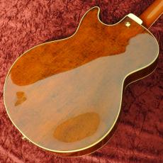 Ibanez AG95MG-DA Dark Amber_2